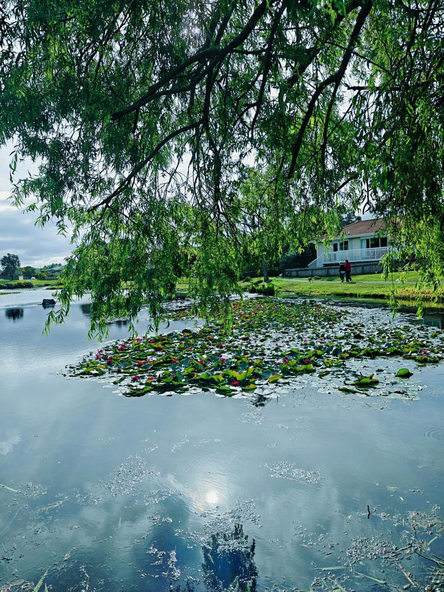 Orewa New House With View On Deck Near Cafe,Bush & River Luaran gambar